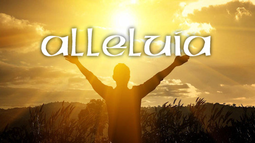 alleluia choir 500