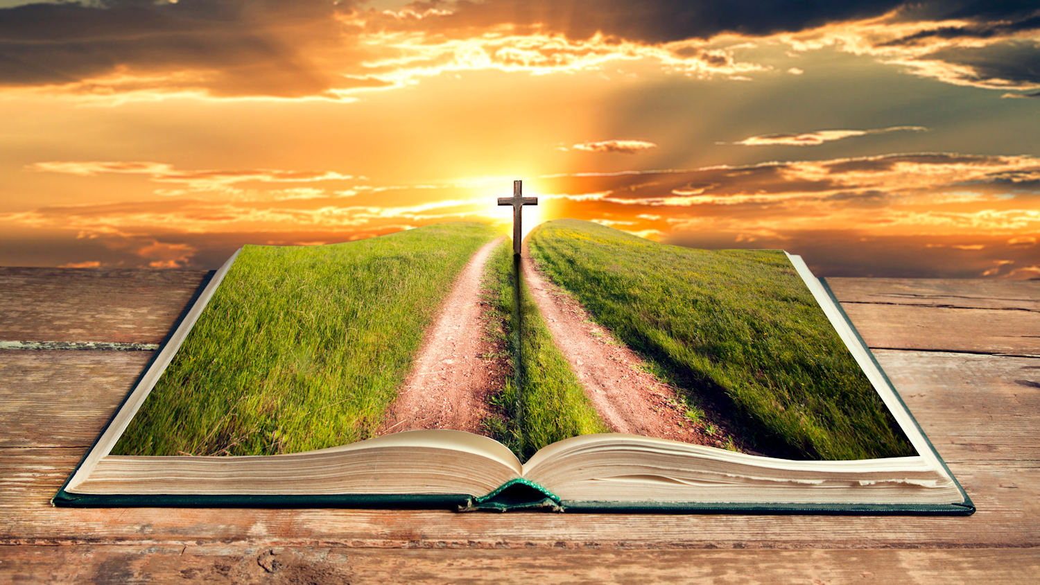 Sunday of the Word of God