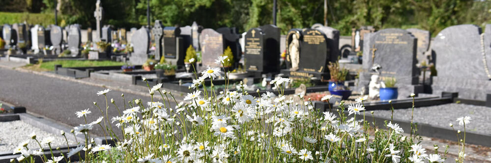 Feast of All Saints and November Novena